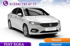 egea_bm